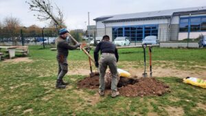 Ein Baum für die Kinder